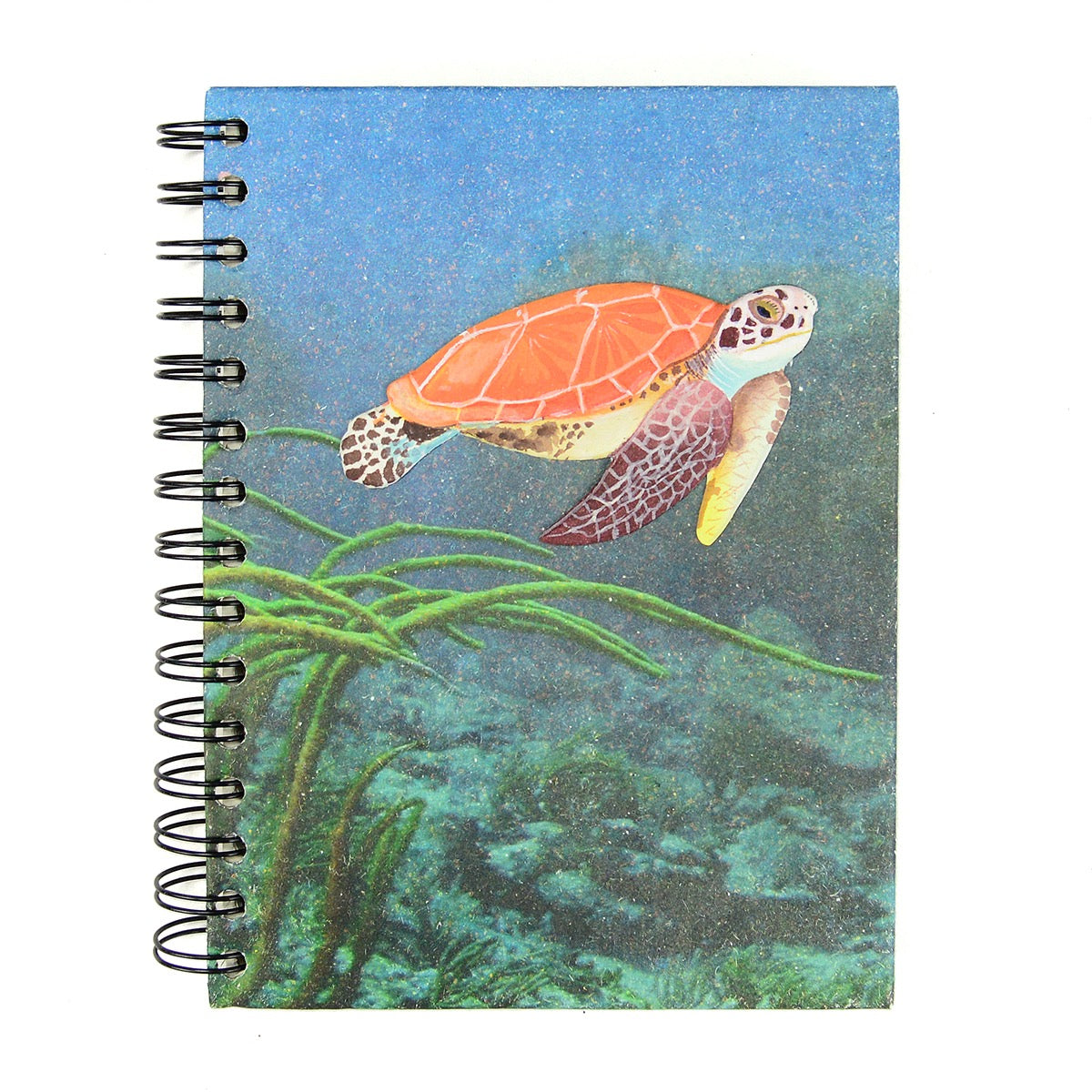 Journal-Mr Ellie Pooh Sea Turtle