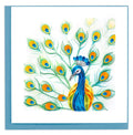 Quilled_Peacock_Feather_Display_Card_Winter_Park_FL_Fair_Trade_Trade_Routes_Collective