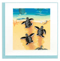 Sea_Turtle_Hatchlings_Winter_Park_FL_Fair_Trade_Trade_Routes_Collective