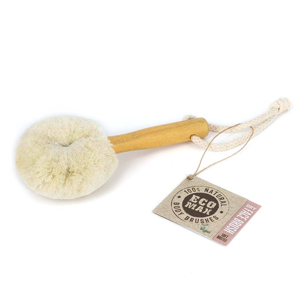 face brush \ Trade routes collective \ winter park, fl \fair trade